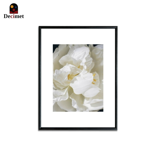 Tranh Khung Composite Đen Mỏng Linen Blooms