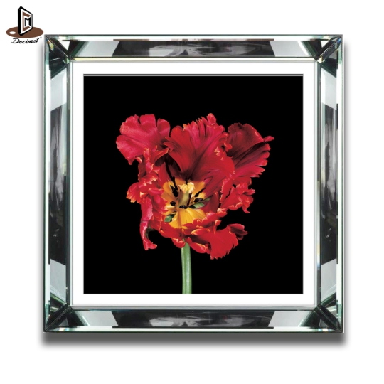 Tranh Khung Gương Bạc Tulip ''Red Parrot'' Số 2