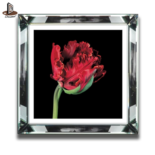 Tranh Khung Gương Bạc Tulip ''Red Parrot'' Số 3