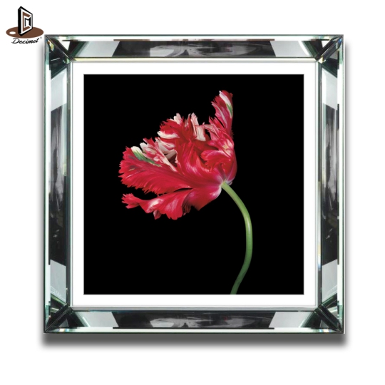 Tranh Khung Gương Bạc Tulip ''Red Parrot'' Số 1