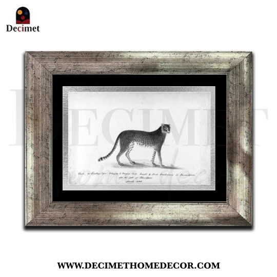 Tranh Khung Composite Bạc Đậm Jaguar