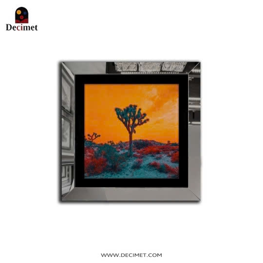 Tranh Khung Gương Bạc Joshua Tree