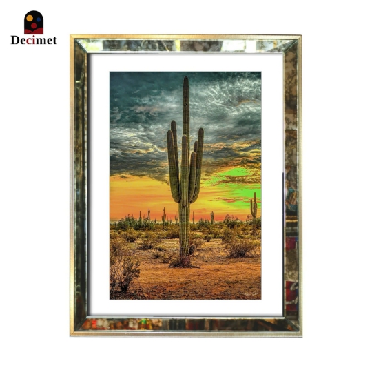 Tranh Khung Gương Loang Cactus
