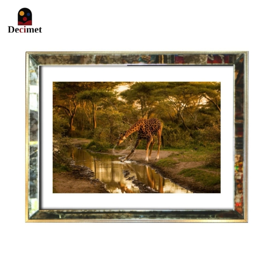 Tranh Khung Gương Loang Giraffe no.2