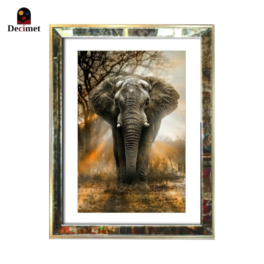 Tranh Khung Gương Loang Elephant