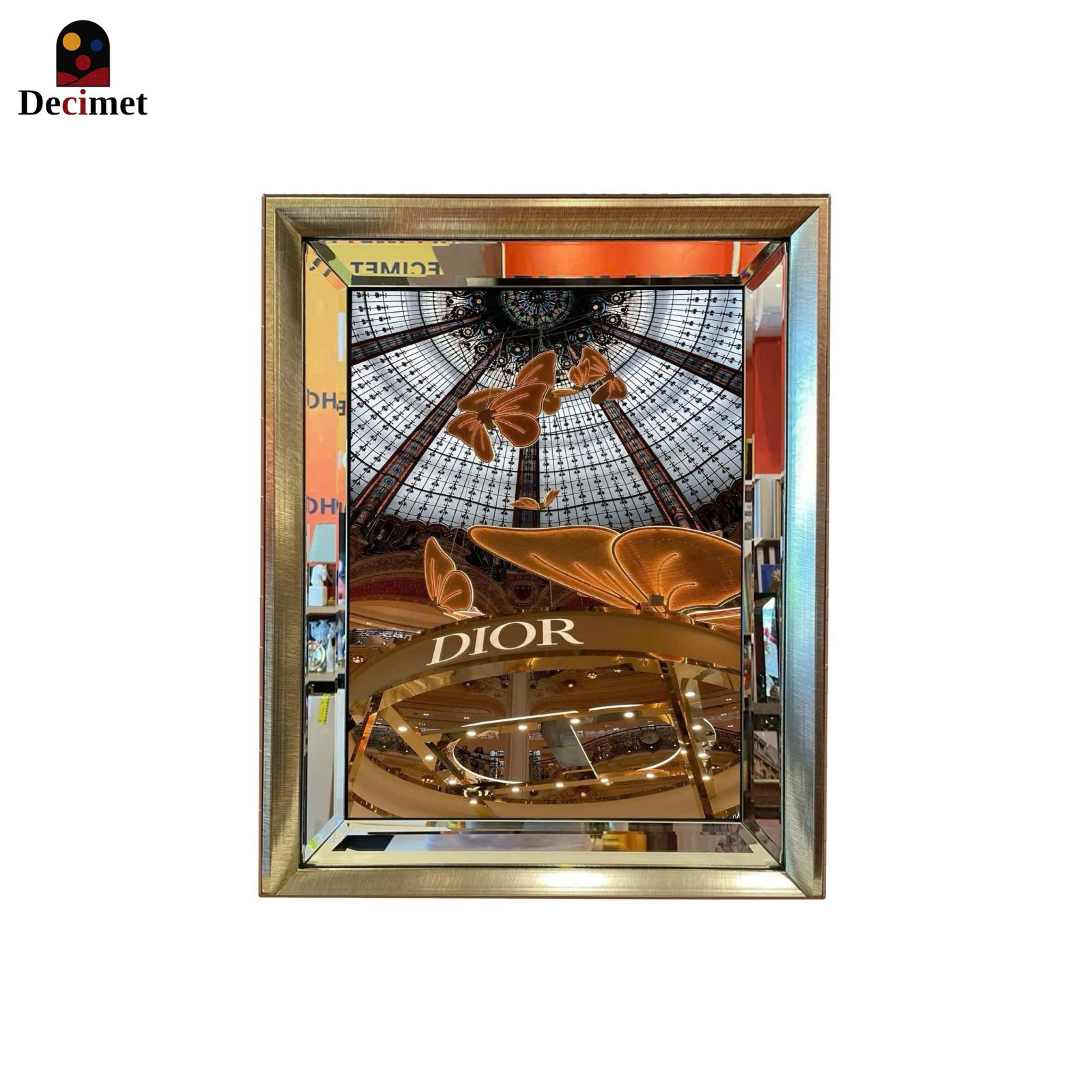 Silver Mirror Frame Painting 1 Composite Border Butterfly DIOR
